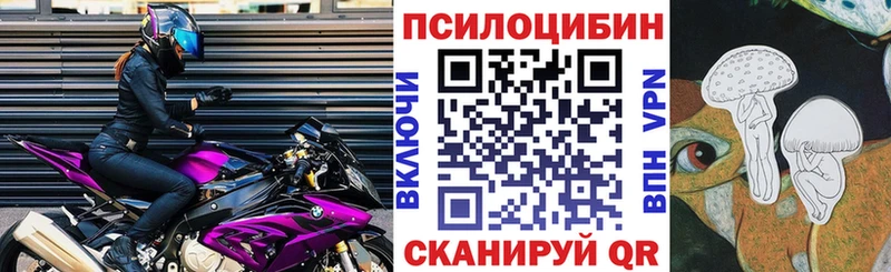 Псилоцибиновые грибы Cubensis  Североуральск 